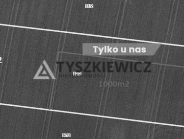 Zdjęcie 15304268