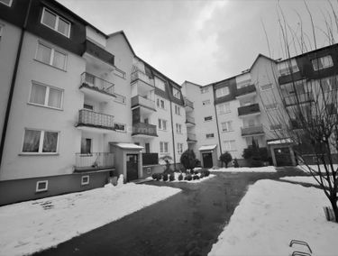 Zdjęcie 15304543