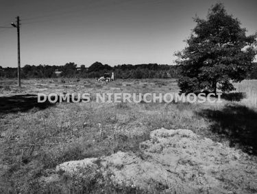 Zdjęcie 15304569