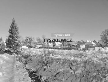 Zdjęcie 15304959