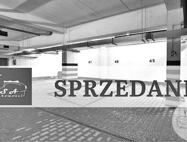Zdjęcie 15305058