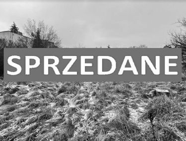 Zdjęcie 15305069