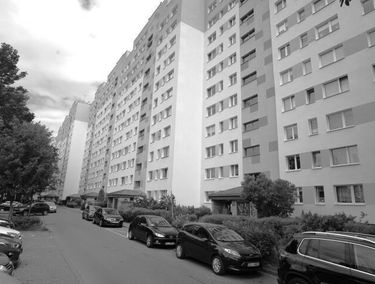 Zdjęcie 15305298