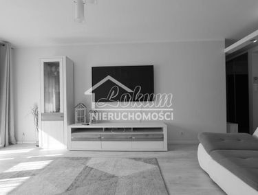 Zdjęcie 15305384