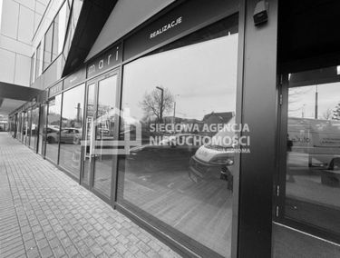 Zdjęcie 15305572