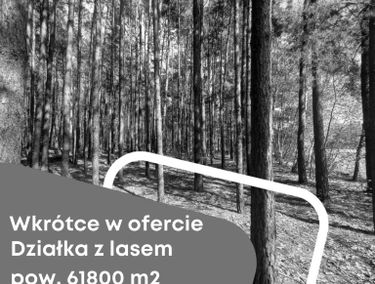 Zdjęcie 15305591