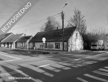 Zdjęcie 15305870