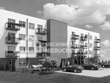 Zdjęcie 15306137