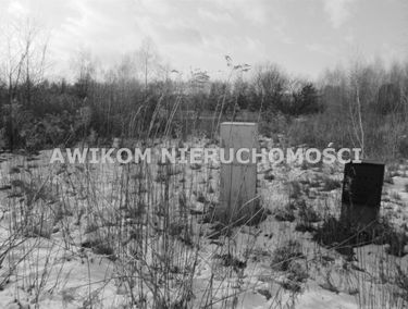 Zdjęcie 15306495