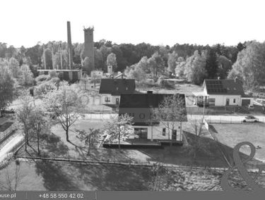 Zdjęcie 15306757