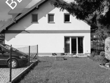 Zdjęcie 15306788