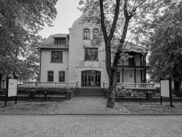 Zdjęcie 15306991