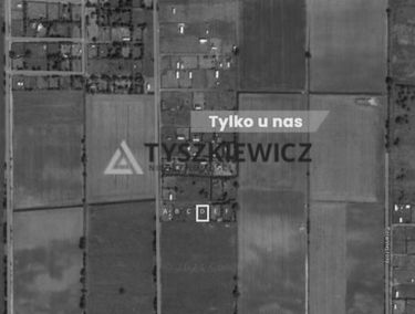 Zdjęcie 15307110