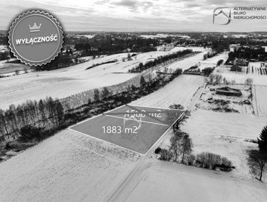 Zdjęcie 15307408