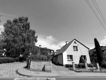 Zdjęcie 15307519