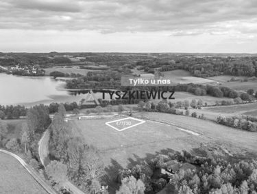 Zdjęcie 15307995