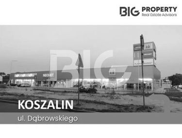 Zdjęcie 15309198