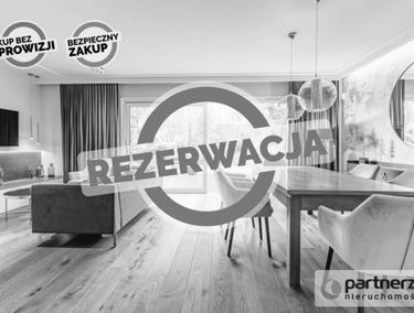 Zdjęcie 15309965