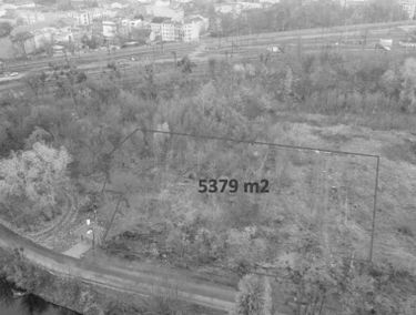 Zdjęcie 15310277