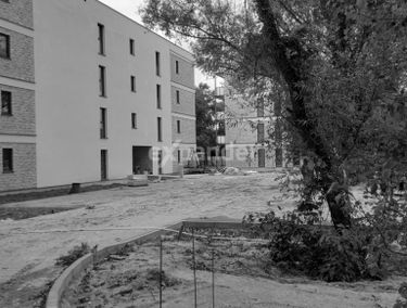 Zdjęcie 15310588