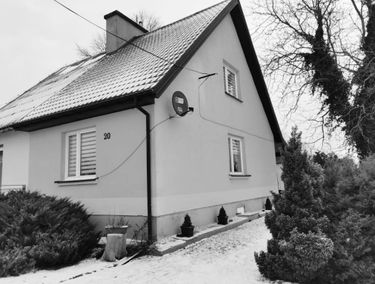 Zdjęcie 15310792