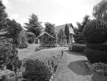 Zdjęcie 15310810