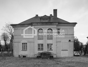 Zdjęcie 15311121