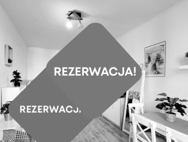 Zdjęcie 15311185
