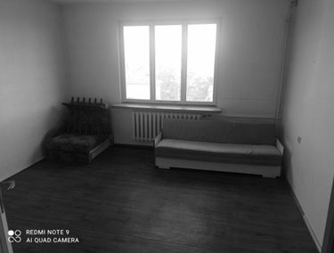 Zdjęcie 15311212