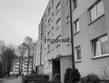 Zdjęcie 15311504
