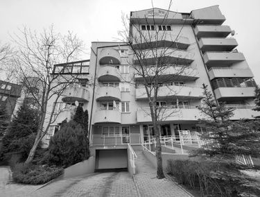 Zdjęcie 15312243