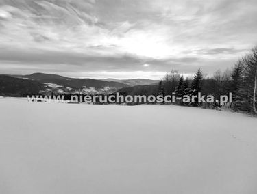 Zdjęcie 15312473