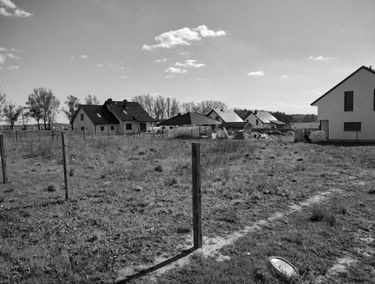Zdjęcie 15312538