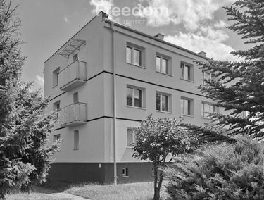 Zdjęcie 15313497