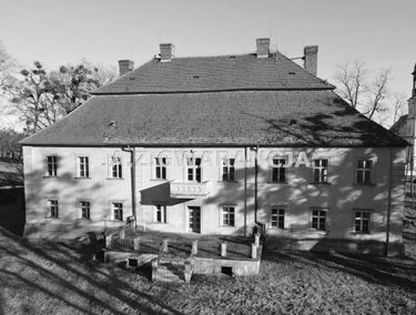 Zdjęcie 15313866