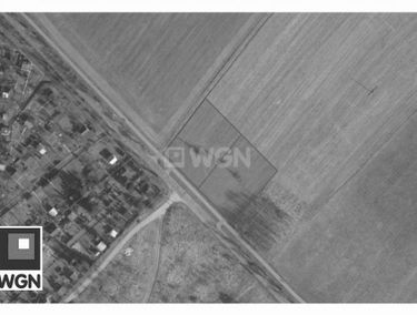 Zdjęcie 15314053