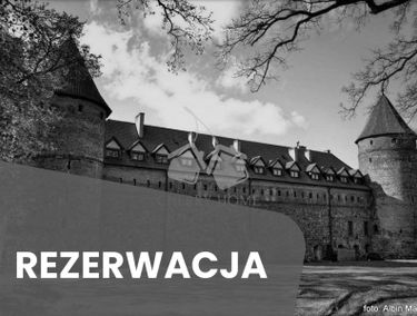 Zdjęcie 15314184
