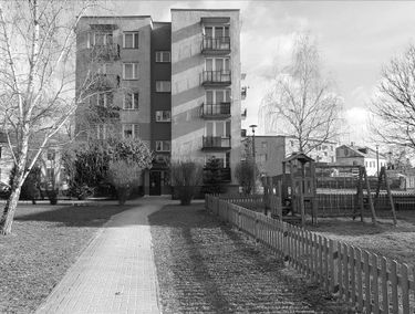Zdjęcie 15314533