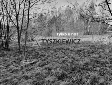 Zdjęcie 15314887