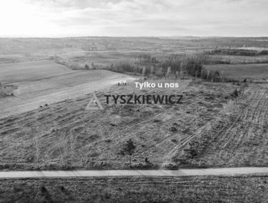 Zdjęcie 15315491