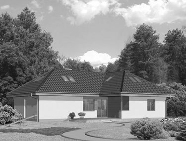 Zdjęcie 15315495