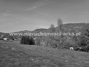 Zdjęcie 15315995