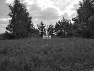 Zdjęcie 15316142