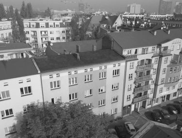Zdjęcie 15317106