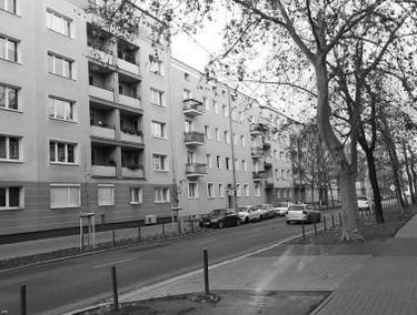 Zdjęcie 15317118