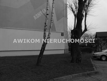 Zdjęcie 15317296