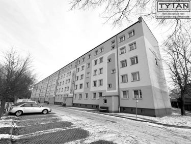 Zdjęcie 15317518