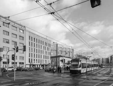 Zdjęcie 15317608