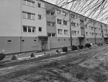Zdjęcie 15317945