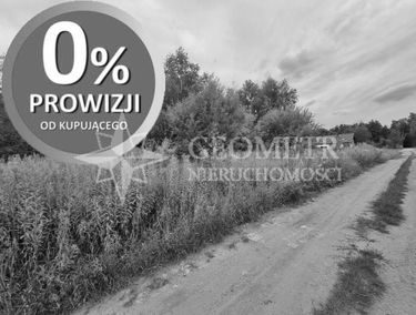 Zdjęcie 15318198